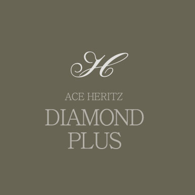 ACE HERITZ DIAMOND PLUS