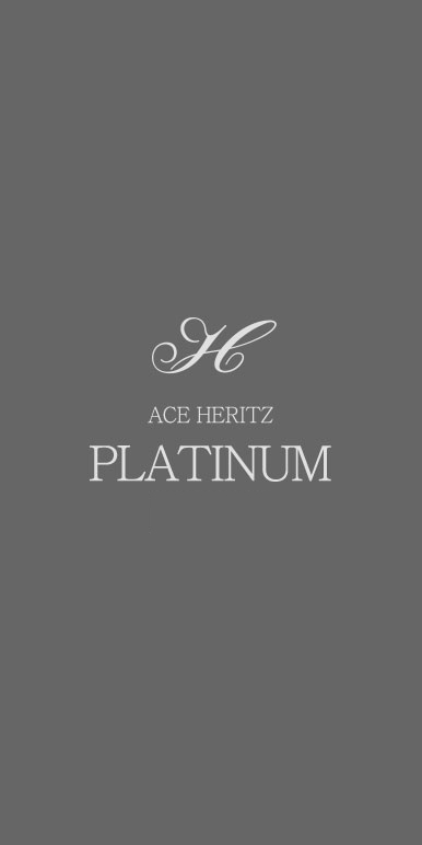 ACE HERITZ PLATINUM PLUS