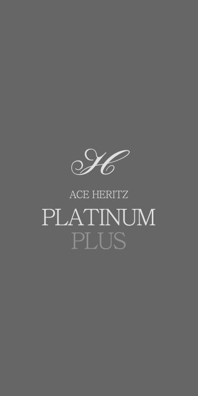 ACE HERITZ PLATINUM PLUS